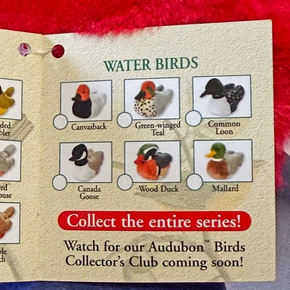 SINGING BIRD, PLAYS REAL BIRD CALLS, RED CARDINAL, 6 L x 4 ½ W x 4 ¾ H INCH PLUS - Picture 14 of 16